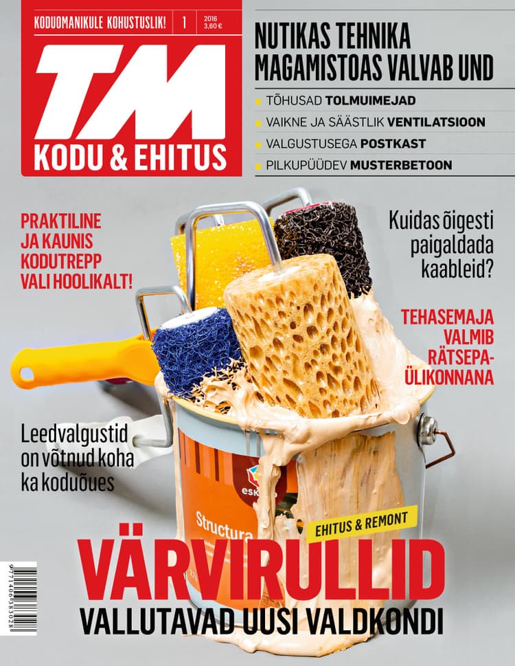 TM Kodu & Ehitus jaanuar 2016