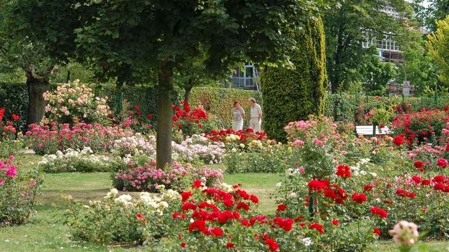 Lummav roosiaed püüab pilke ja ergutab meeli.
