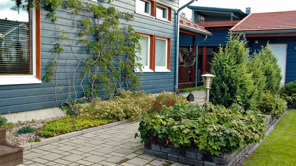 Maja sokliäärset klibupinnast katab kukehari ja metsviinapuu.