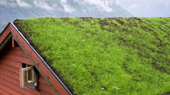 Enim kasutatakse murukatuseid, kus haljastuskihi paksus on 70–160 mm, mis annab katusele langevaks koormuseks 60–120 kg/m². 