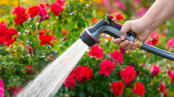 Veevarustusega tegelevad ettevõtted pakuvad eraisikutele koduaia kastmiseks kasutatud vee tasu tagasiarvestamise võimalust.